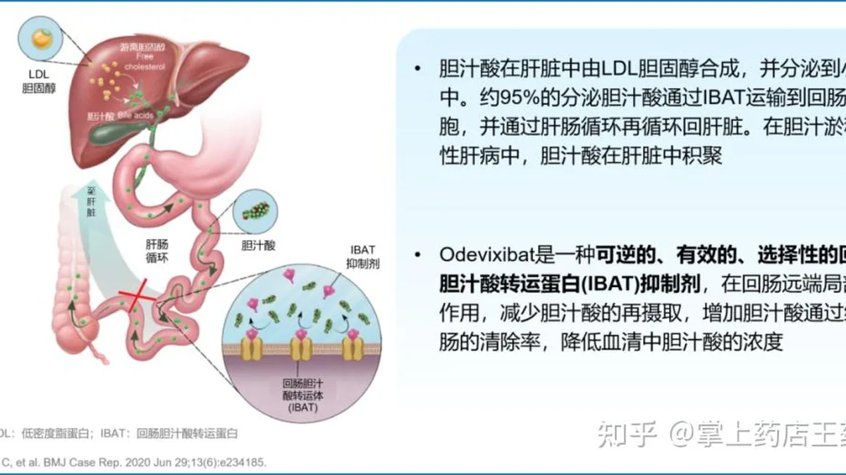 医生正在向家长解释儿童用药注意事项
